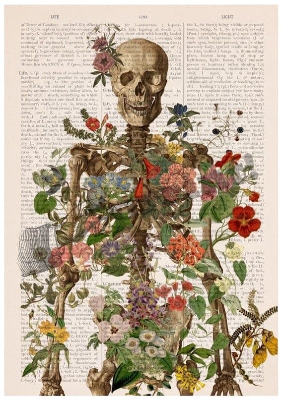 Retro skull with flowers